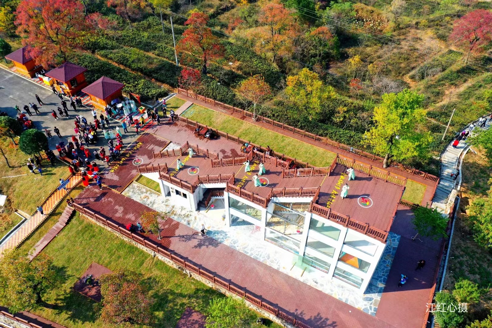 来大悟，赏一场红叶的盛宴